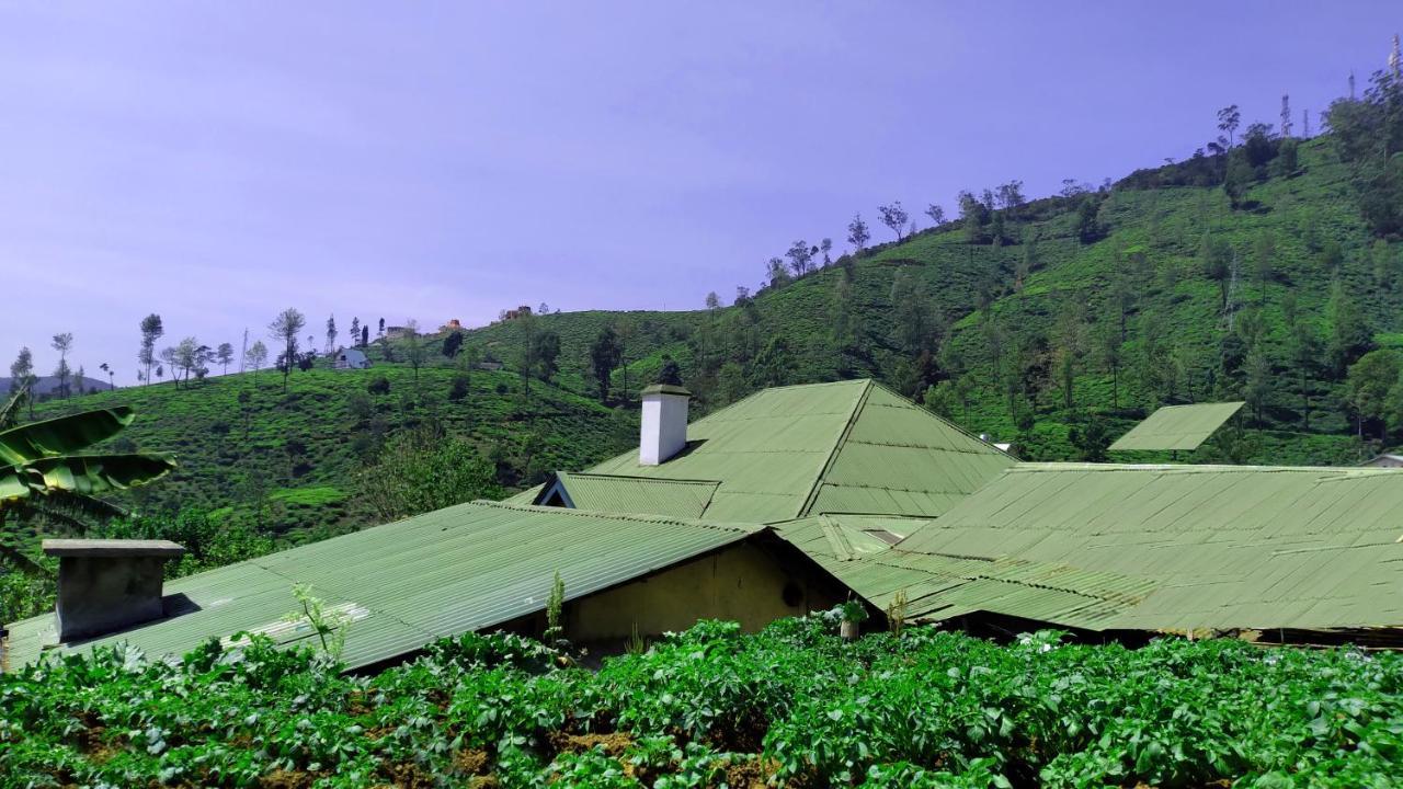 Shirin1892 Guest House Nuwara Eliya Ngoại thất bức ảnh