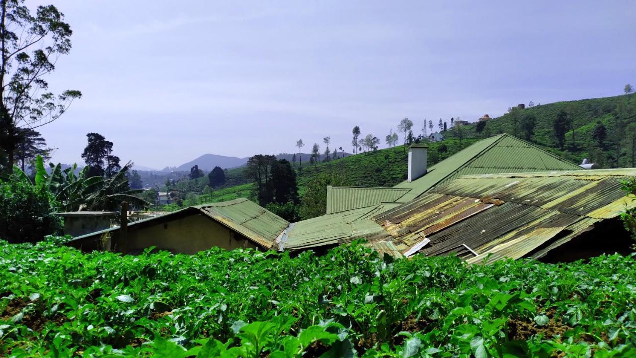 Shirin1892 Guest House Nuwara Eliya Ngoại thất bức ảnh