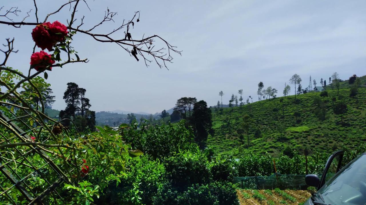 Shirin1892 Guest House Nuwara Eliya Ngoại thất bức ảnh