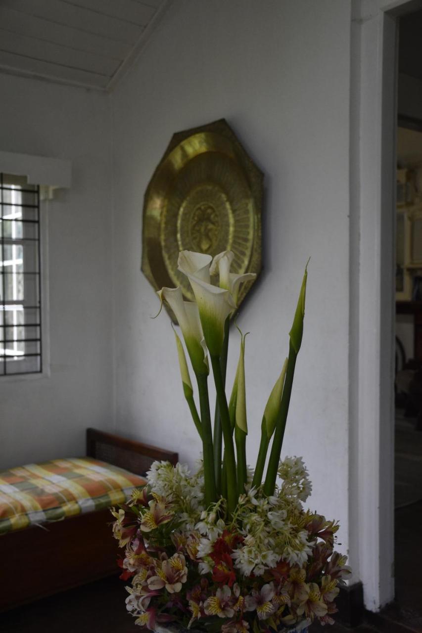 Shirin1892 Guest House Nuwara Eliya Ngoại thất bức ảnh